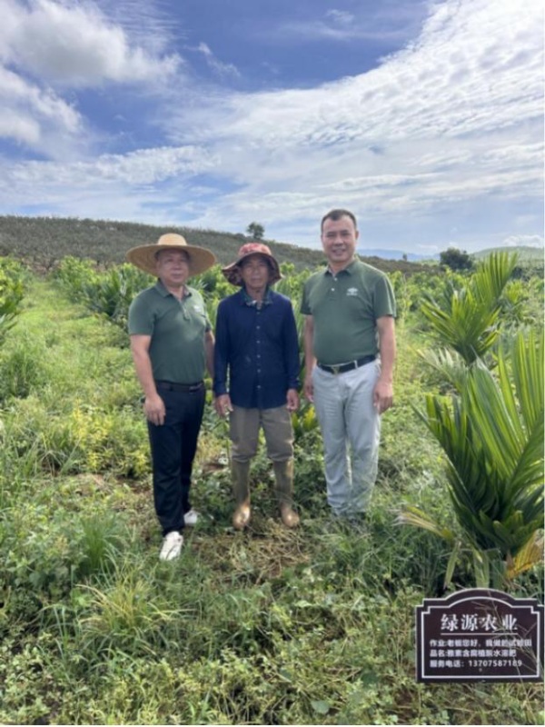 绿源肥业技术员在东方市感城镇试验田向农户细致讲解“绿芭丹”科学施用技术，助力绿色种植理念落地生根。.jpg