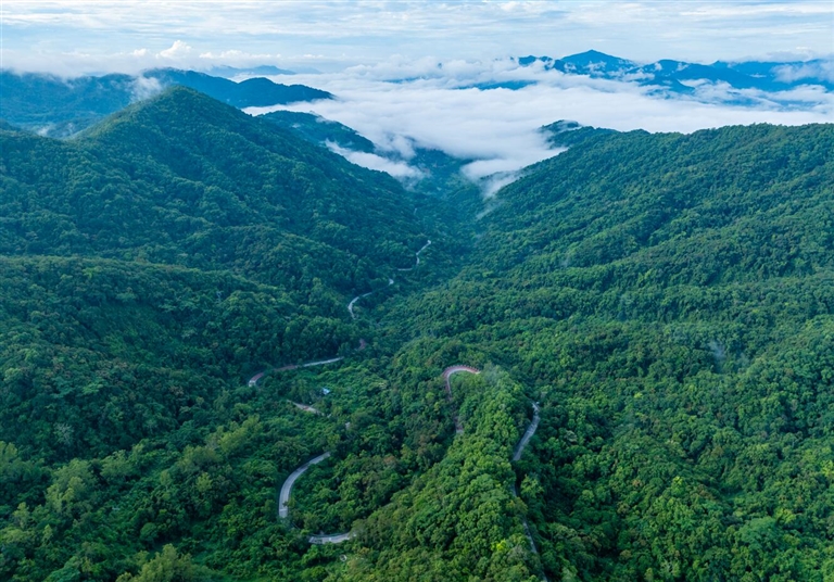 綠水青山景色新