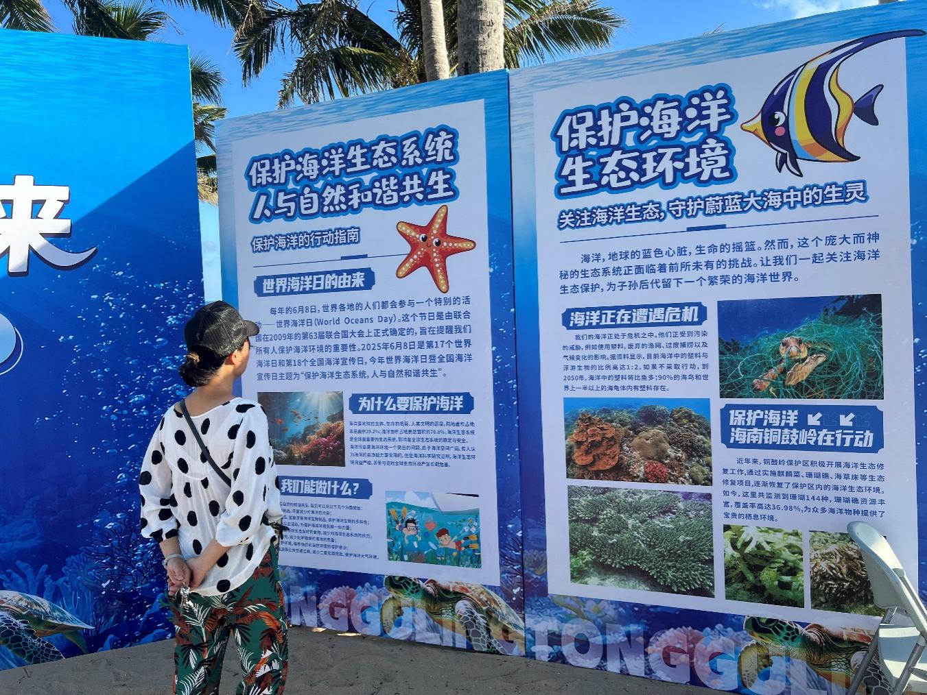 游客閱讀海洋知識科普展板。主辦方供圖