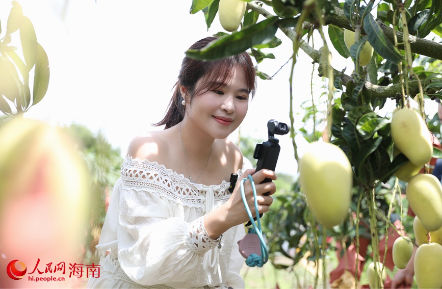 网络主播参加“甜美昌江行·夏品芒果香”活动。人民网记者 符武平摄