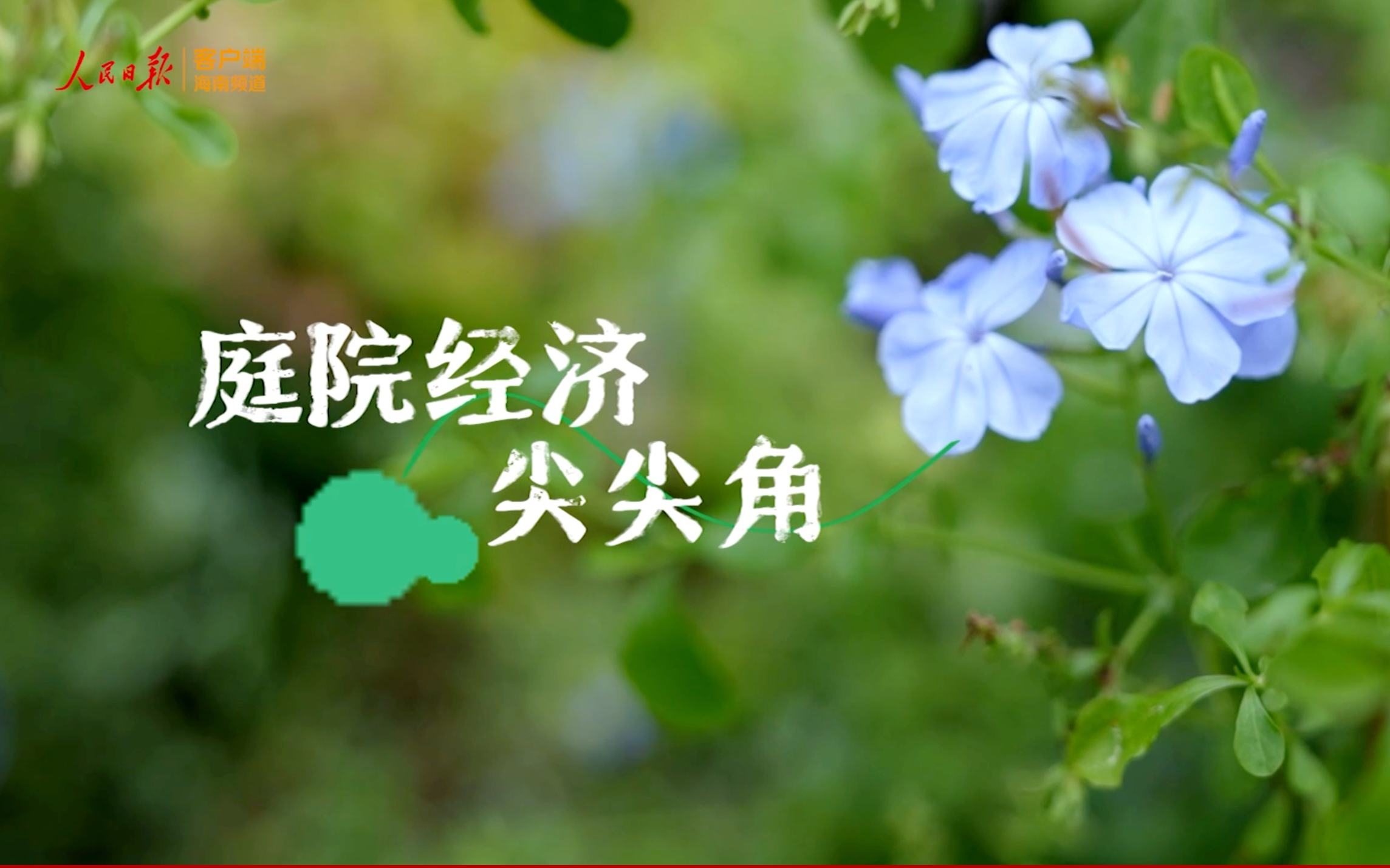 海之南丨庭院經濟尖尖角