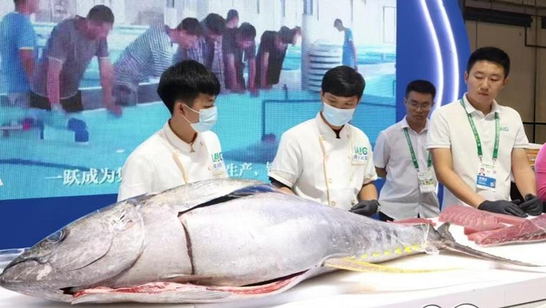 下一个目标→金枪鱼自由“先让海南人吃得起，再让全国人民实现‘金枪鱼自由’！” 冯义韬站在南海之滨，目光坚定……