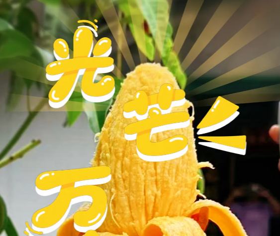 生活再“芒” 也要有点甜