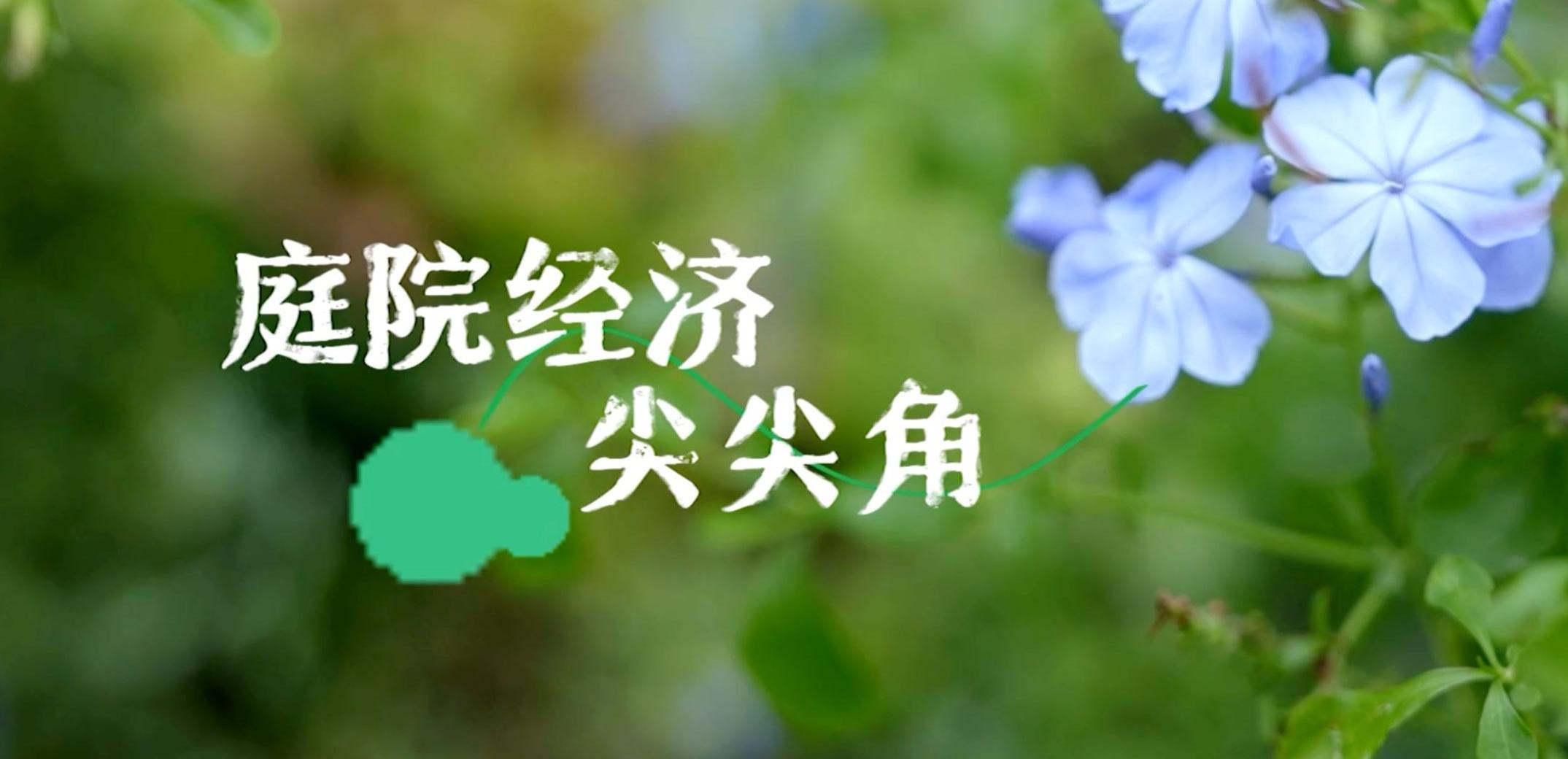 庭院经济尖尖角