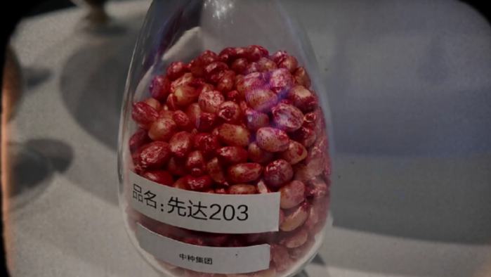 海南藏了“双芯”密码！中国“南繁硅谷”在海南三亚！这里是未来科技前沿阵地，种子基因碰撞深海奥秘……