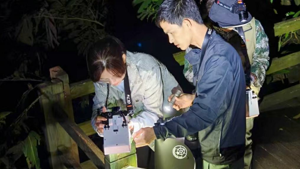 雨林“成长”记“我们的护林员叔叔们，就是现实中的‘熊大熊二’，守护着这片神奇的热带雨林——我们的家园。”