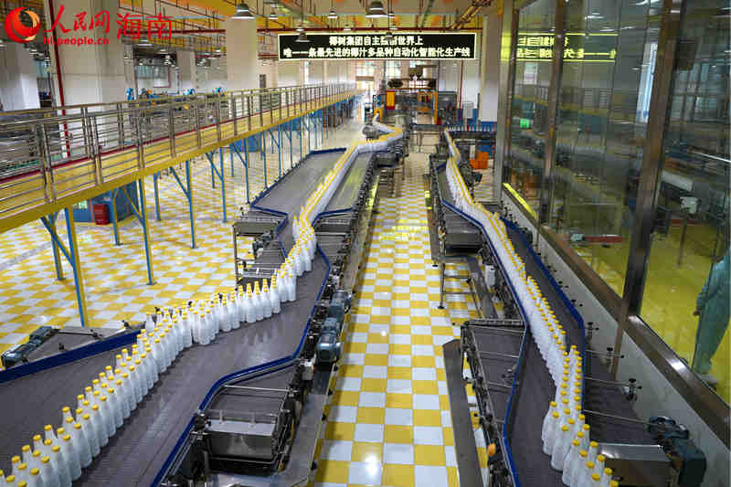 椰树集团智能化生产线。 人民网记者 孟凡盛摄