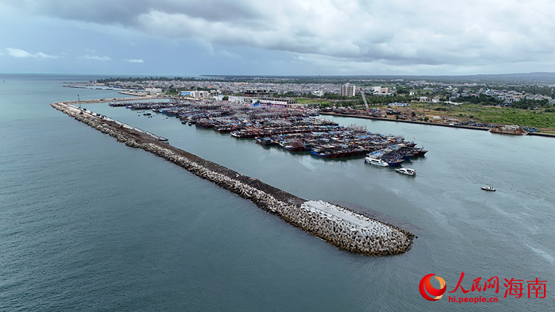 数百艘渔船在港区内蓄势待发。人民网记者 牛良玉摄