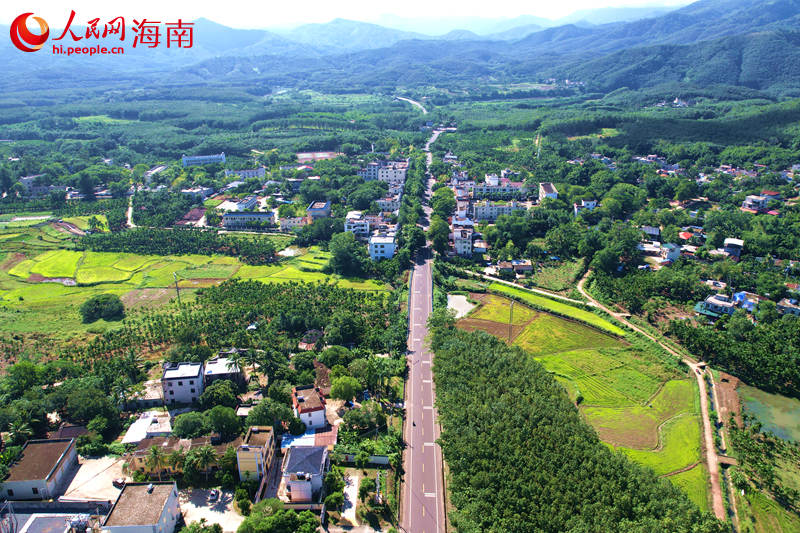 紅旗村。 人民網記者 孟凡盛攝