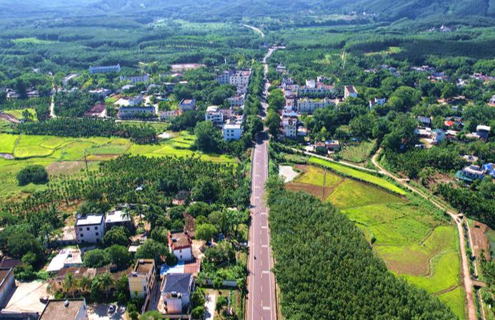 中国移动数智赋能绘白沙乡村振兴新图景