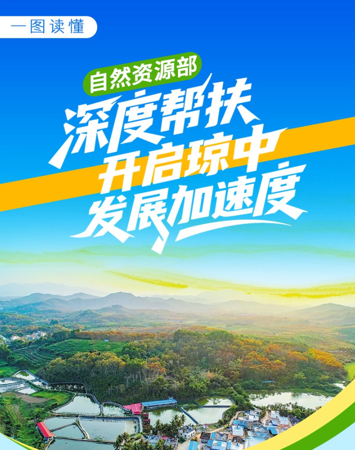 点击查全图