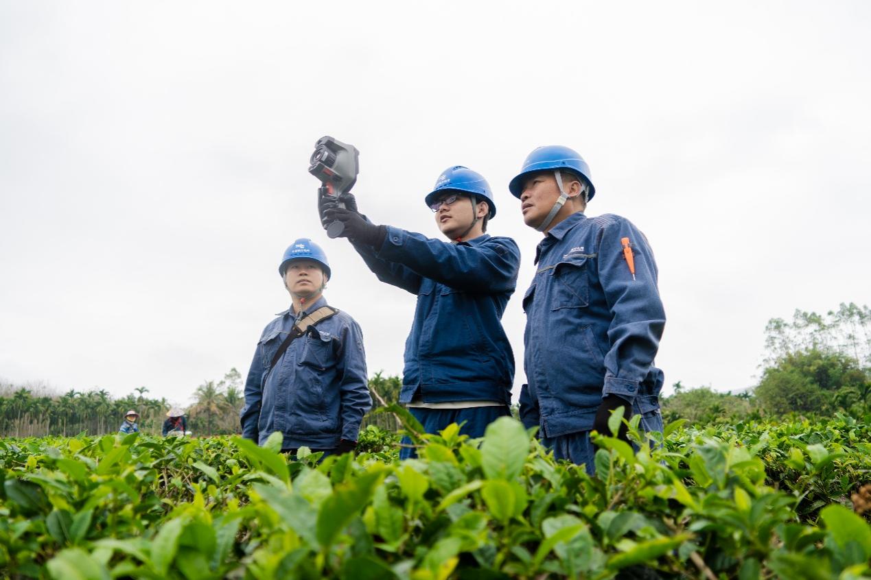海南電網白沙供電局組織專人對茶廠周圍的線路、設備進行特巡特維。余盛本攝