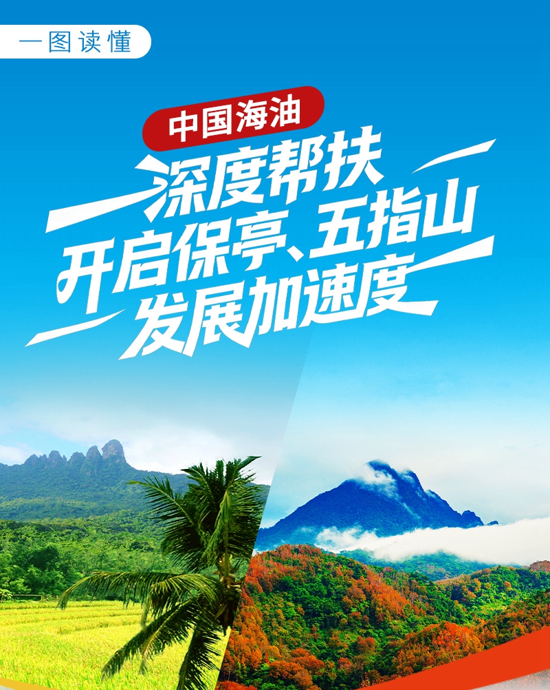 点击查全图