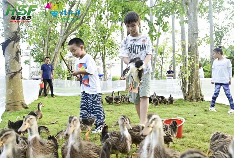 孩子們在海南熱帶野生動植物園與動物互動。海口旅文局供圖