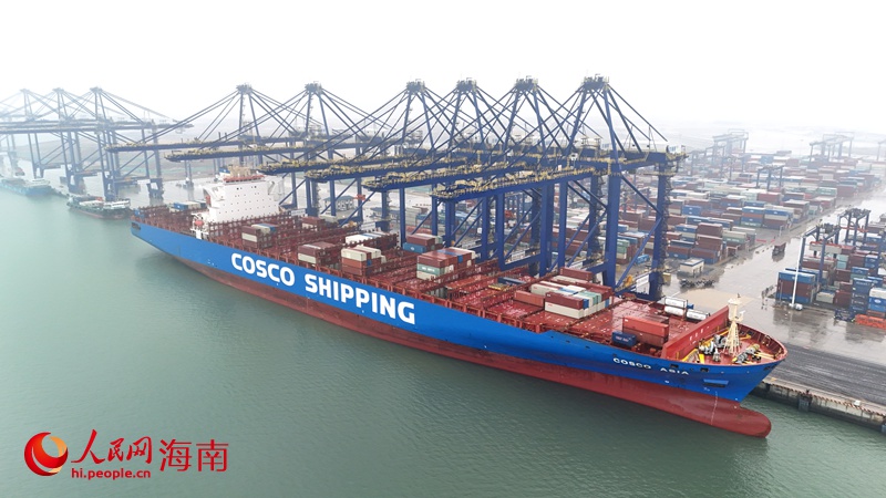 中遠海運遠東-南美西航線洋浦首航。人民網記者 符武平攝 (3) - 副本