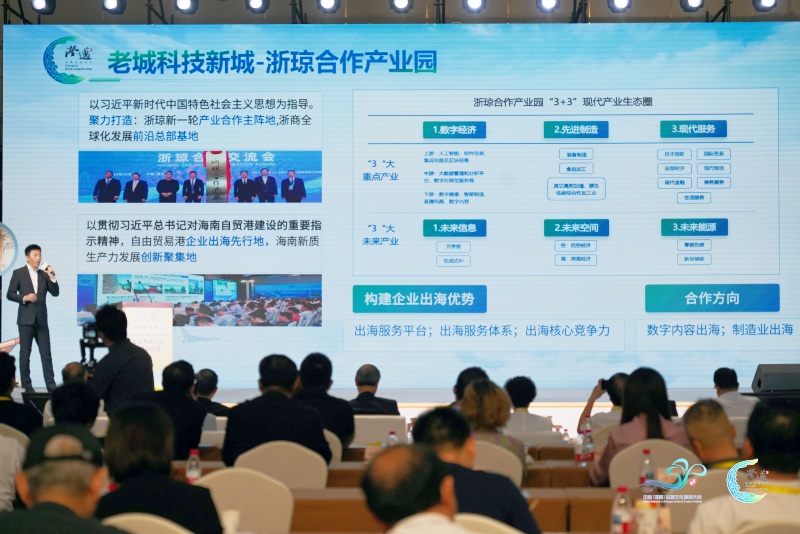 澄邁縣推介環節。 主辦方供圖