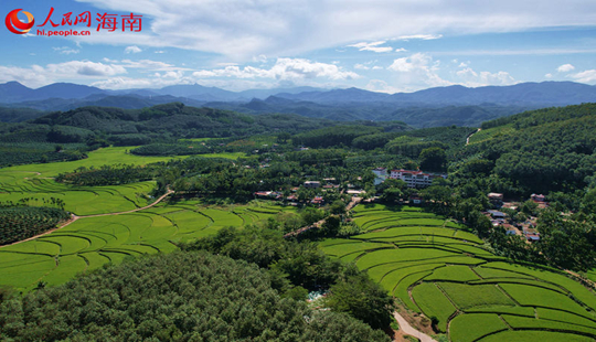 三亚市育才生态区青法村
