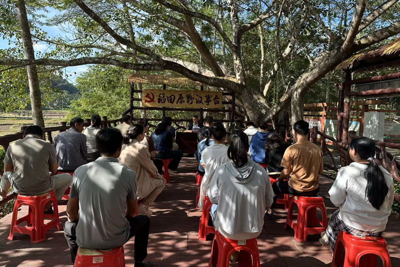 “稻花香里说丰年”照进现实