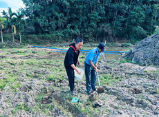 驻村书记帮助农户锄地