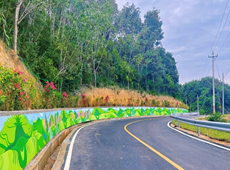 乡间小路风景美如画