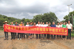 育才生态区榴莲蜜种植技术培训