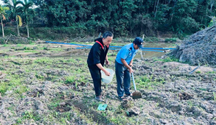 就業幫扶穩生活 產業賦能繪新篇