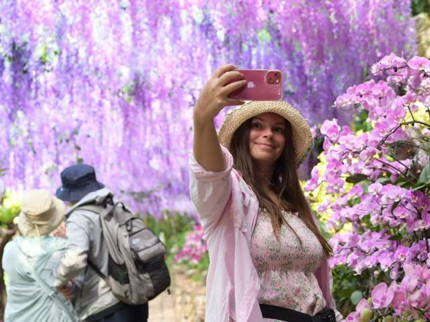 三亚亚龙湾热带天堂森林旅游区。黄庆优摄