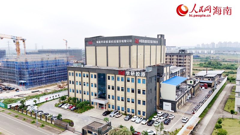 海南华研胶原科技股份有限公司。人民网记者 符武平摄