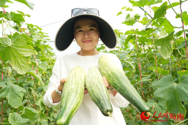 網絡博主對昌江羊角蜜愛不釋手。人民網記者 符武平攝