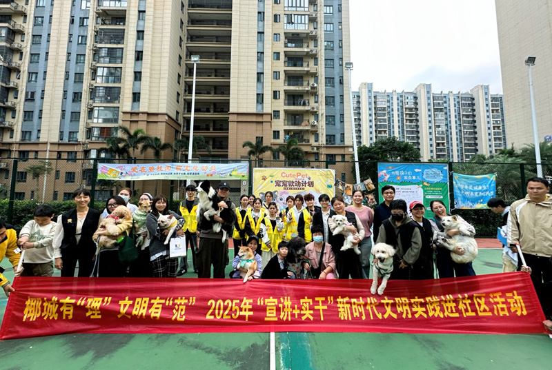 活动现场。主办方供图