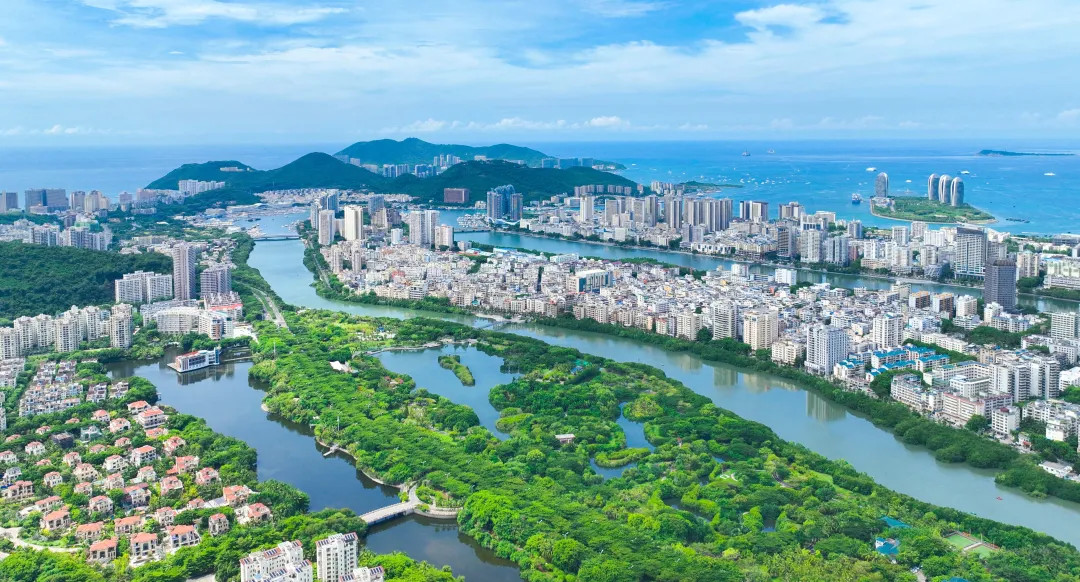 臨春河兩岸濕地風光。圖源：海南日報