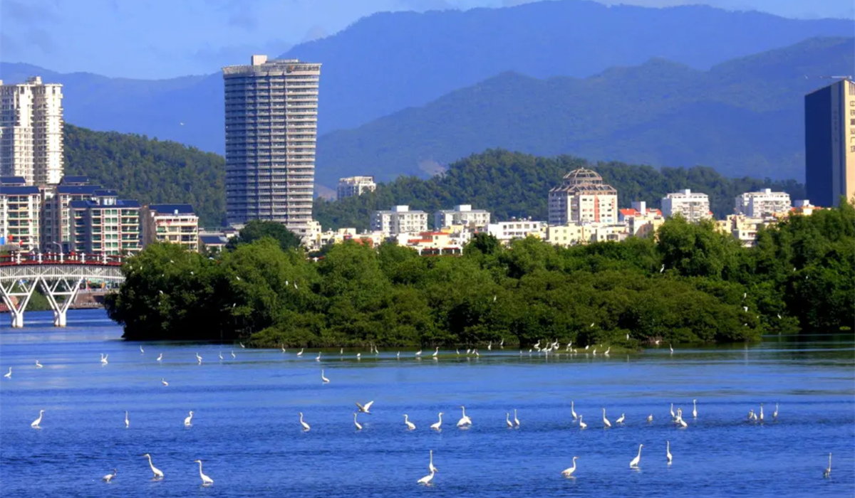碧波涟漪、植茂景秀的三亚河