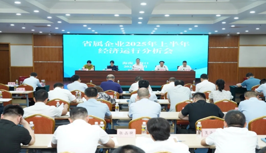 海南省国资委召开省属企业2025年上半年经济运行分析会