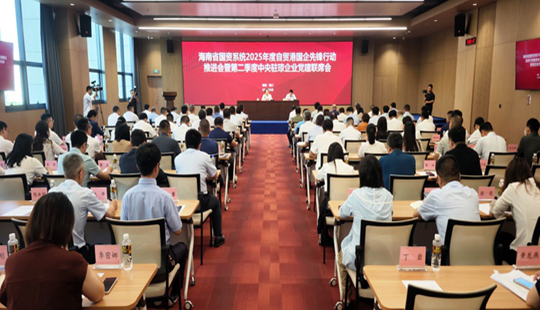 自贸港国企先锋行动