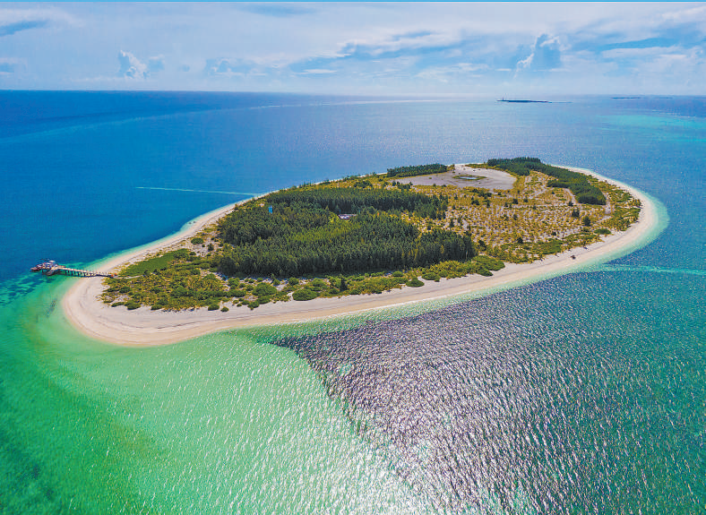 三沙西沙洲：从零星几棵树到植被覆盖率超90%