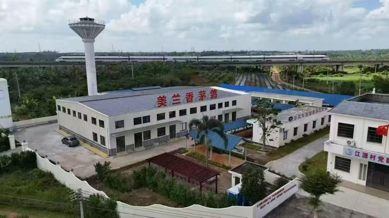 7864d2d90ce75808a804e011e00a2135