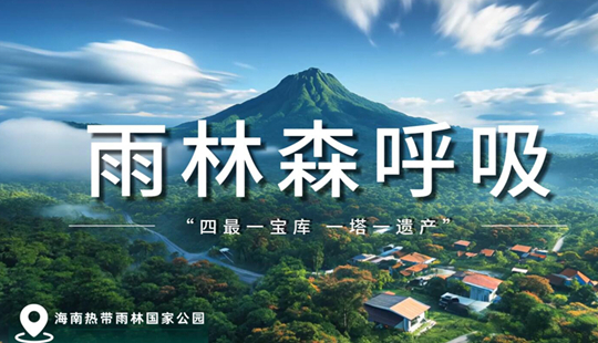 AI视频｜雨林秘境藏瑰宝！