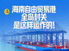 海南自贸港全岛封关是这样运作的！