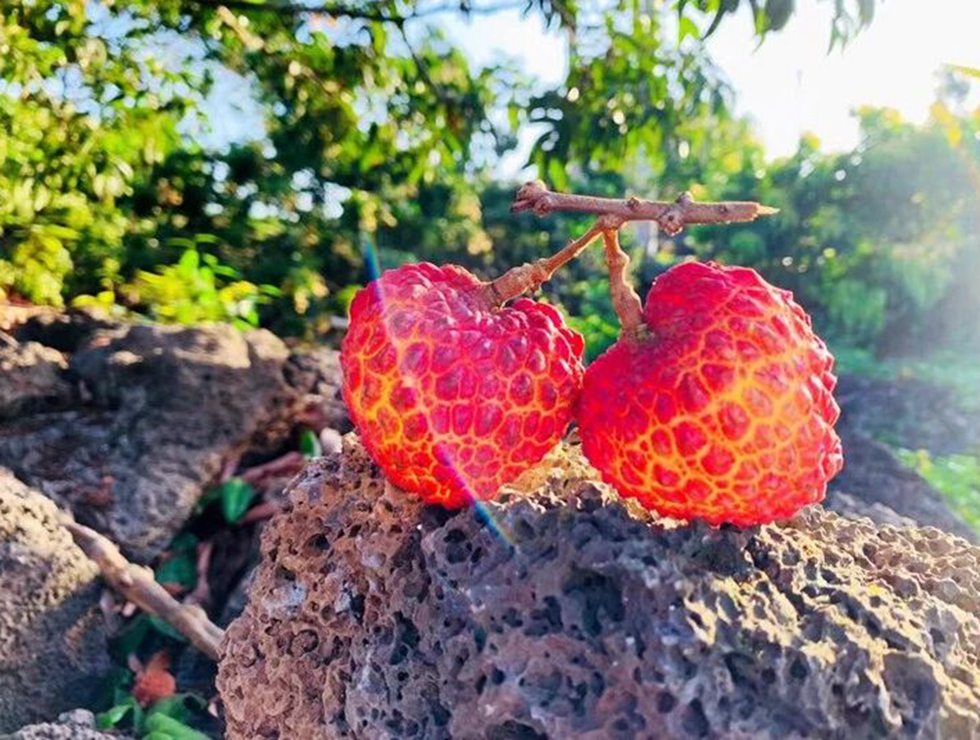 第 一 口 给 你 吃 🥰