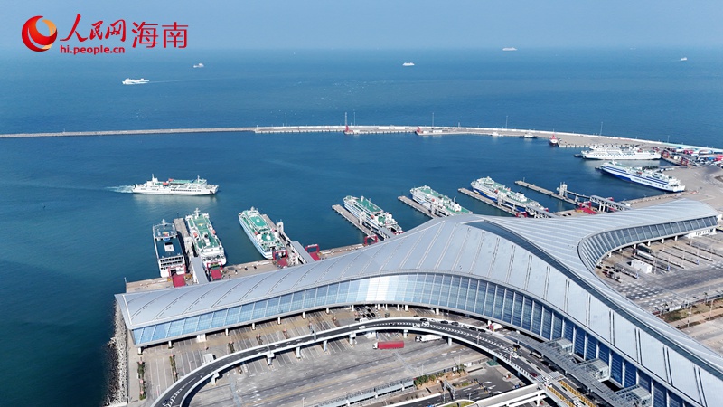 2026年春运拉开序幕，2月2日，天气晴朗，海口新海港轮渡繁忙。人民网记者 符武平摄