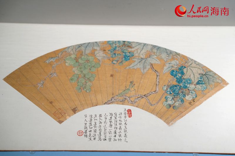 馬荃葡萄螳螂扇面。人民網記者 符武平攝