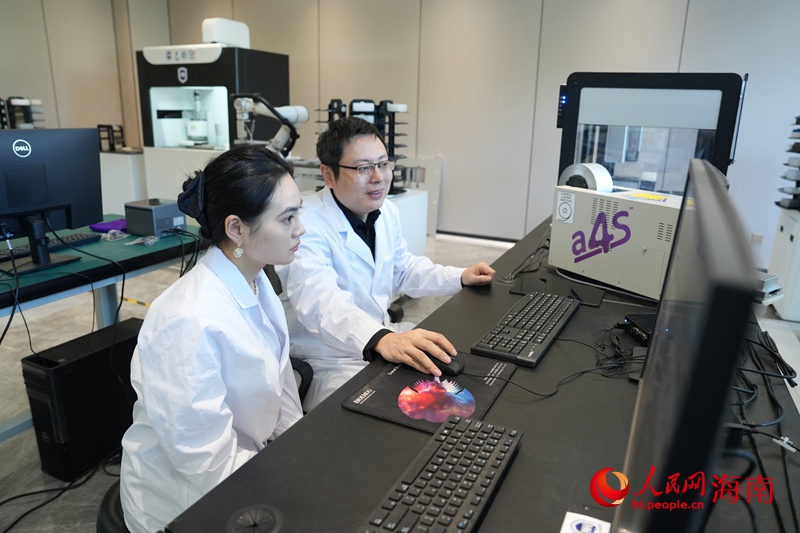 海南大學三亞南繁研究院副院長夏志強在工作。人民網記者 符武平攝