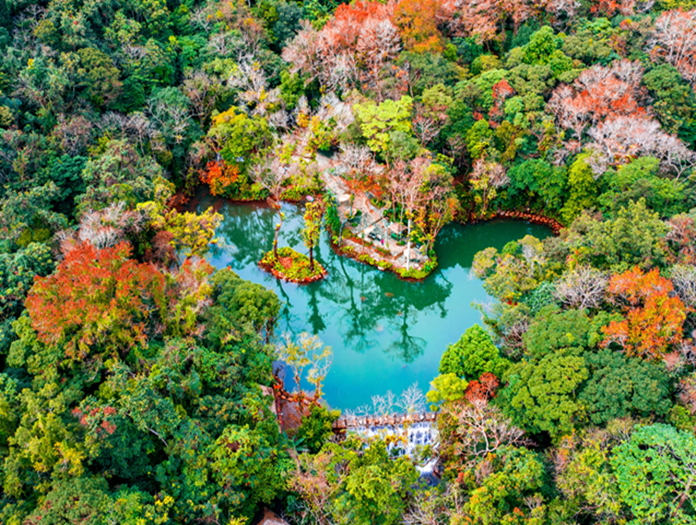 百花岭热带雨林文化旅游区俯拍图