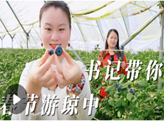 书记带你春节游琼中