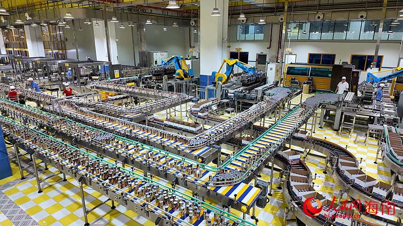 椰树工厂智能化的椰汁多品种生产线。人民网记者 牛良玉摄