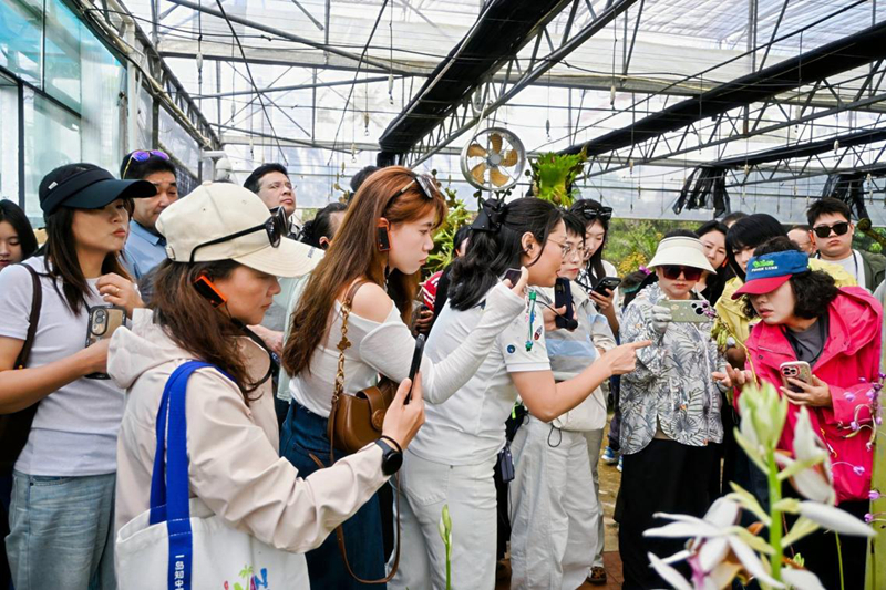 各地机构实地走访文昌研学旅游资源。主办方供图