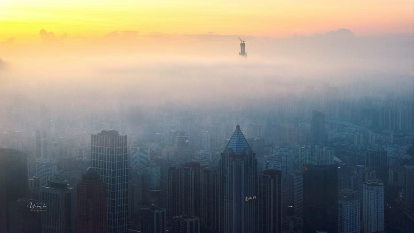 摄影杨鹤