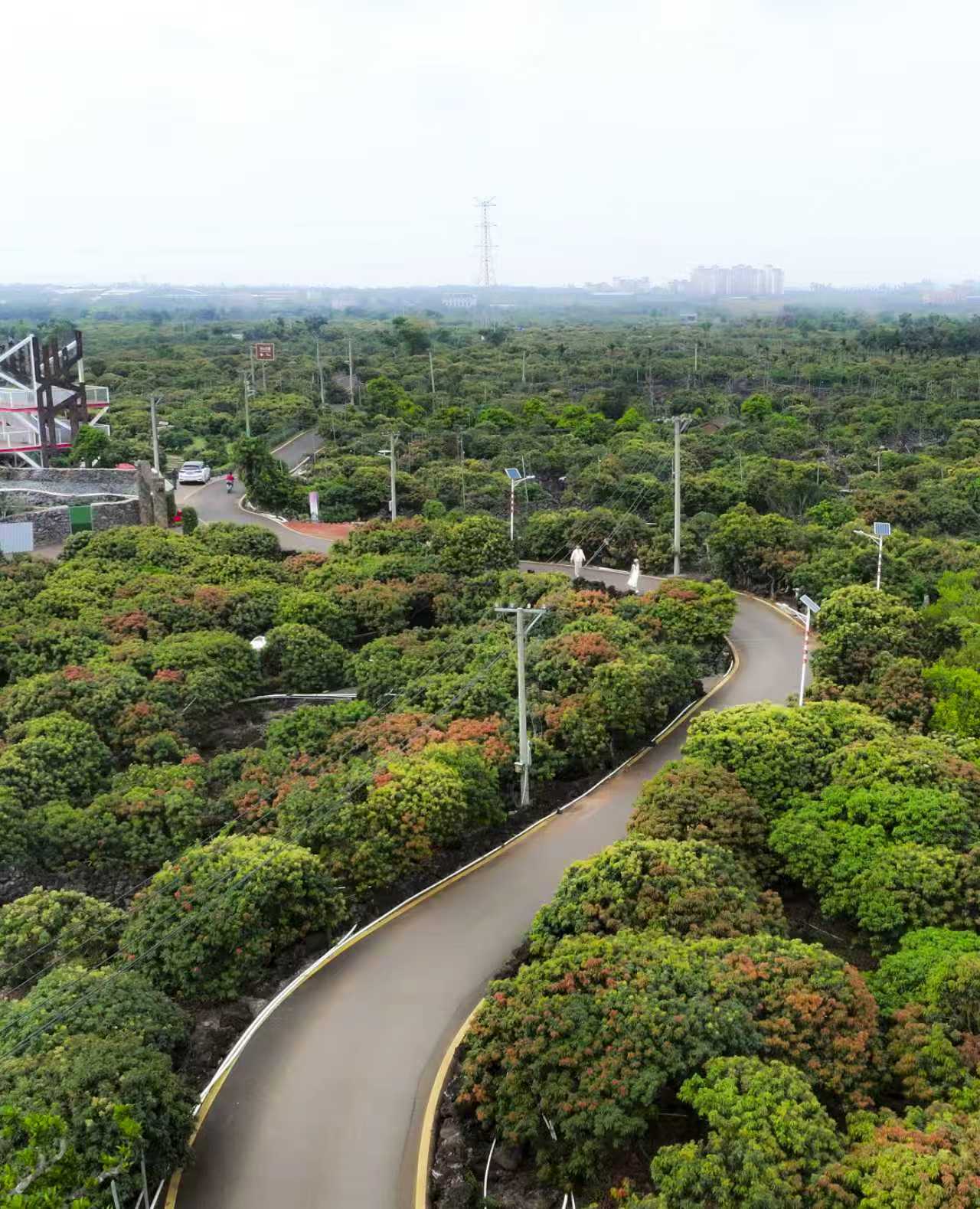 一块大屏管万亩果园！海口秀英区智慧农业点亮荔枝特色产业(图4)