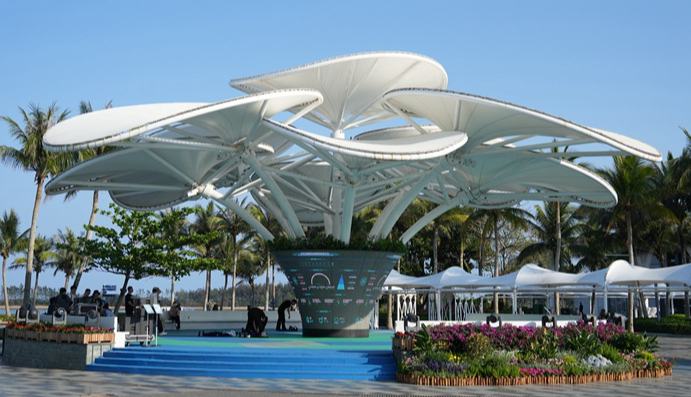 当“绿色”遇见“科技”——沉浸式探访零碳岛上的智慧场景