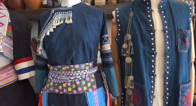 板藍根，還能染布？